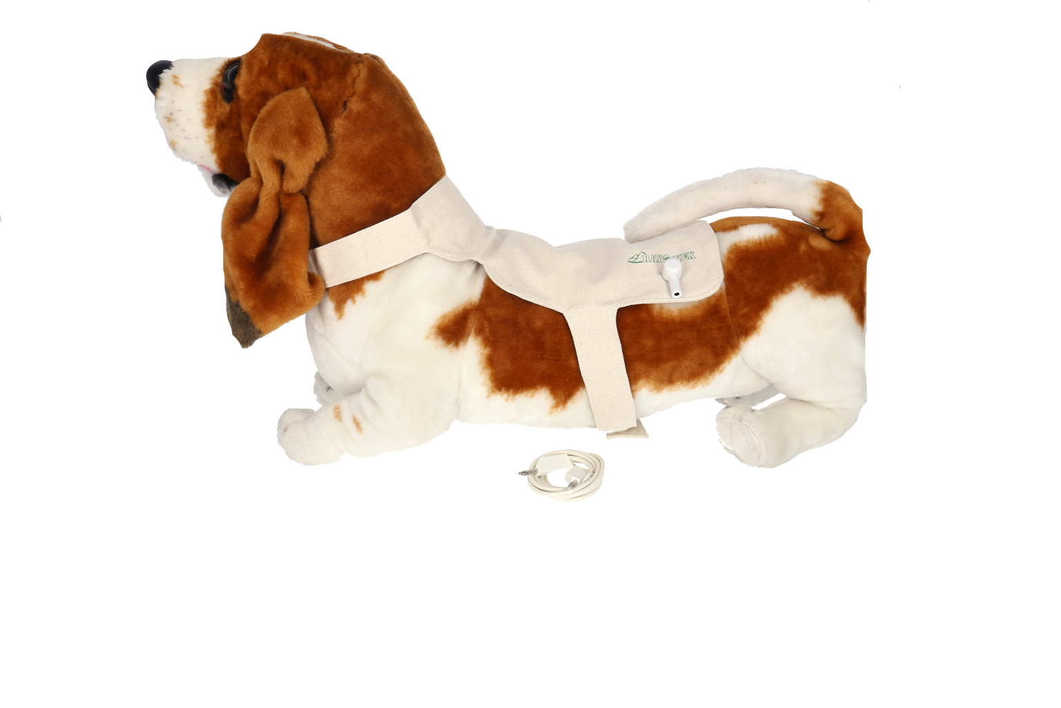 Fabric Detector: dog